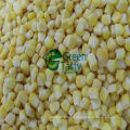 IQF Fresh Sweet Corn Kernel New Crop with FDA